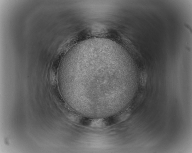 X0000099460705200805161047