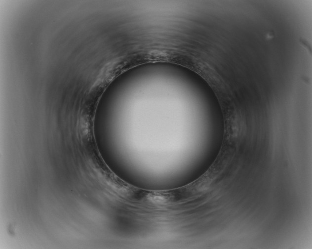 X0000099460706200805161047