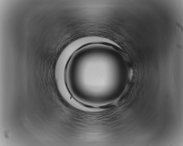 X0000099460707200805161047