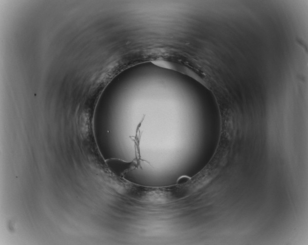 X0000099460708200805161047