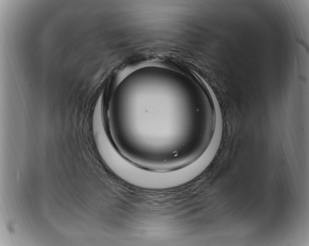 X0000099460709200805161047