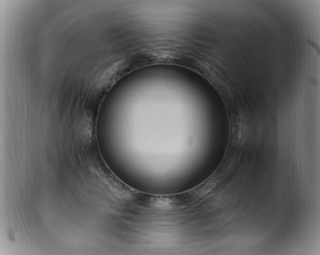 X0000099460710200805161047