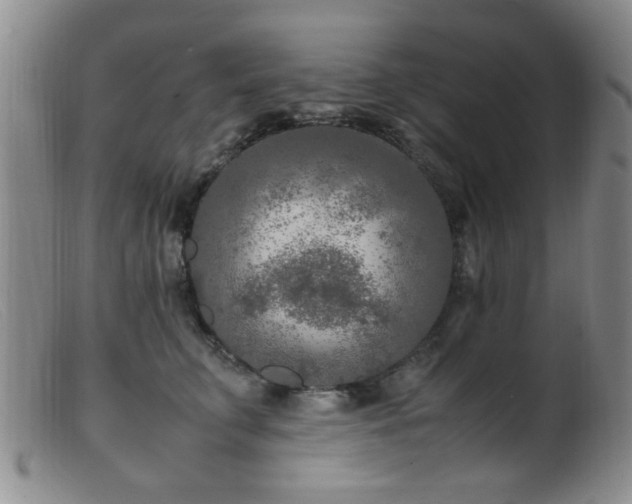 X0000099460711200805161047