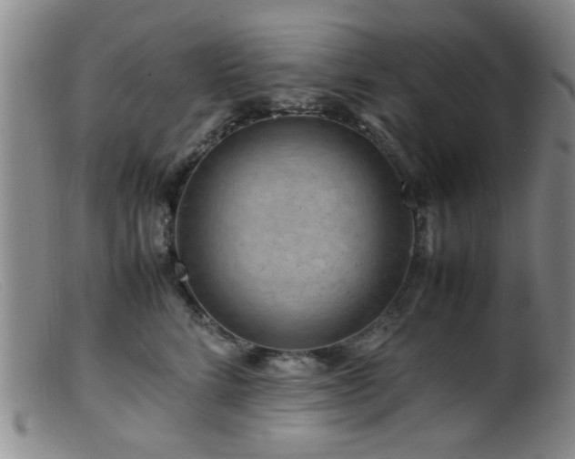 X0000099460712200805161047