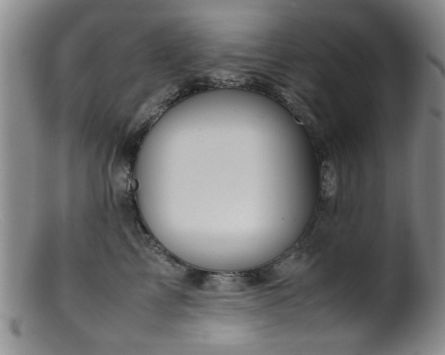 X0000099460713200805161047