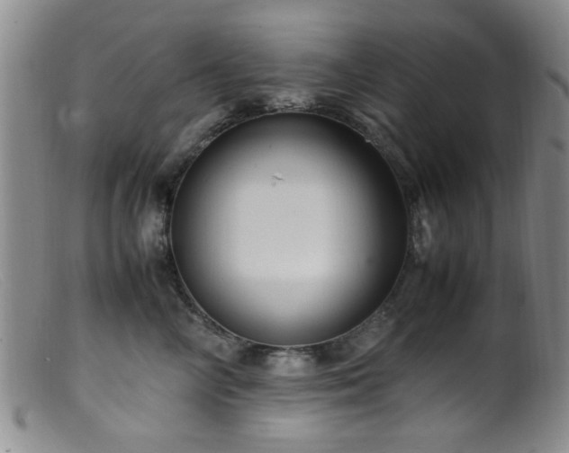 X0000099460714200805161047