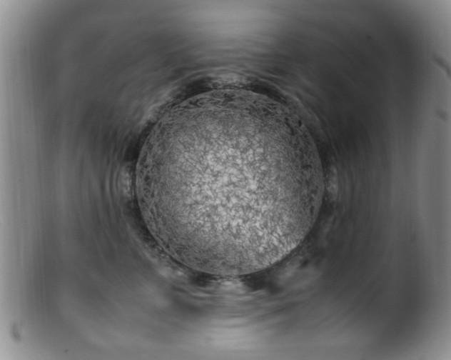 X0000099460715200805161047
