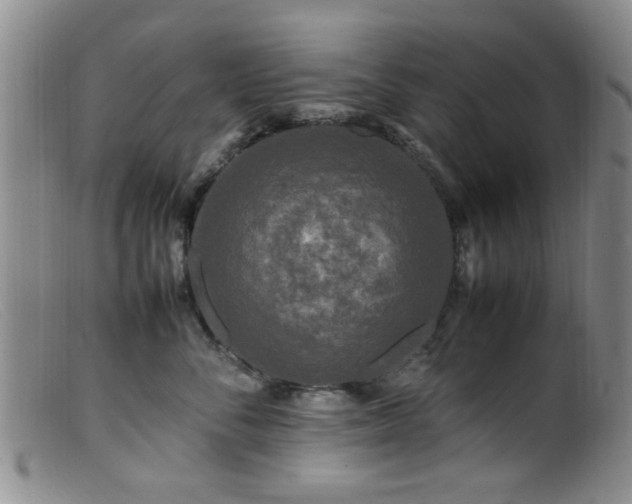 X0000099460716200805161047