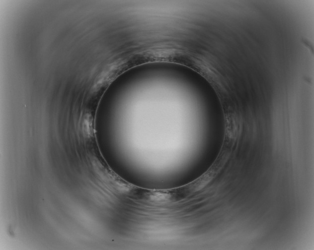 X0000099460718200805161047