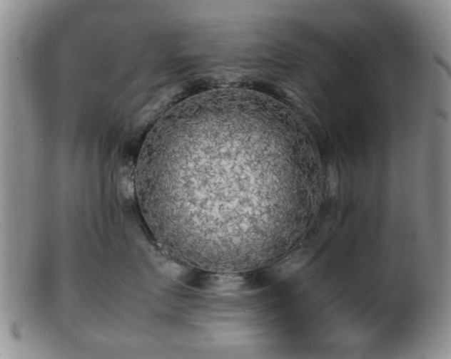 X0000099460719200805161047