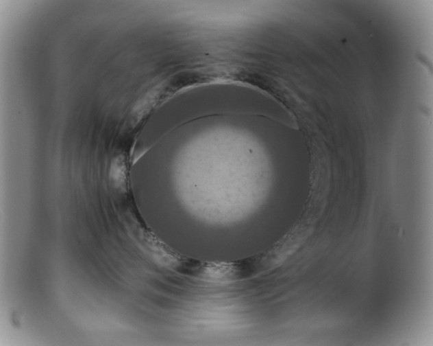 X0000099460720200805161047