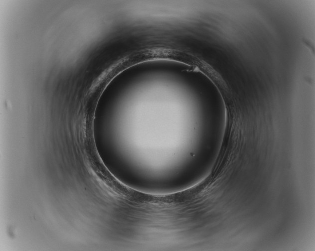 X0000099460722200805161046