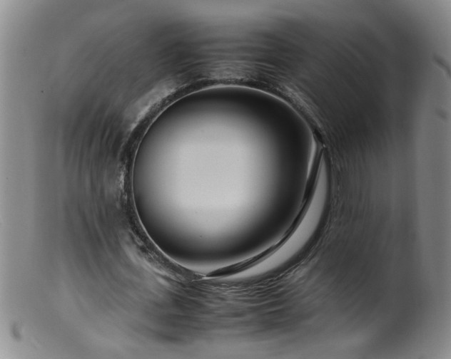 X0000099460723200805161046