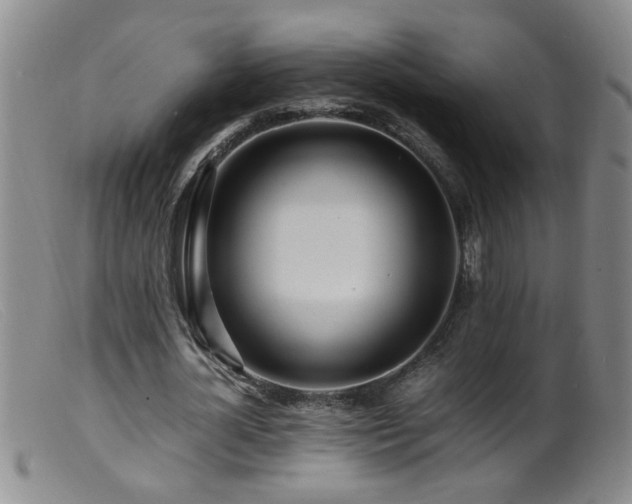 X0000099460724200805161046