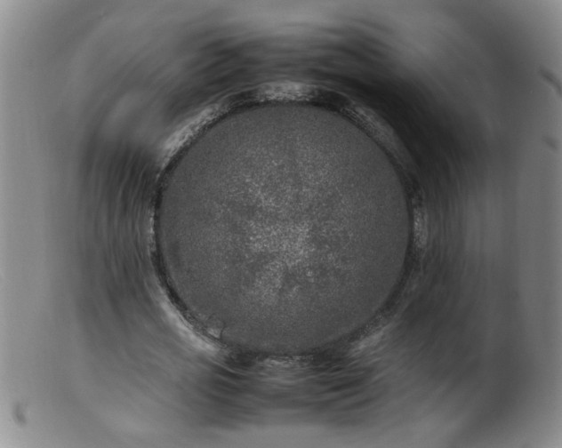 X0000099460725200805161046