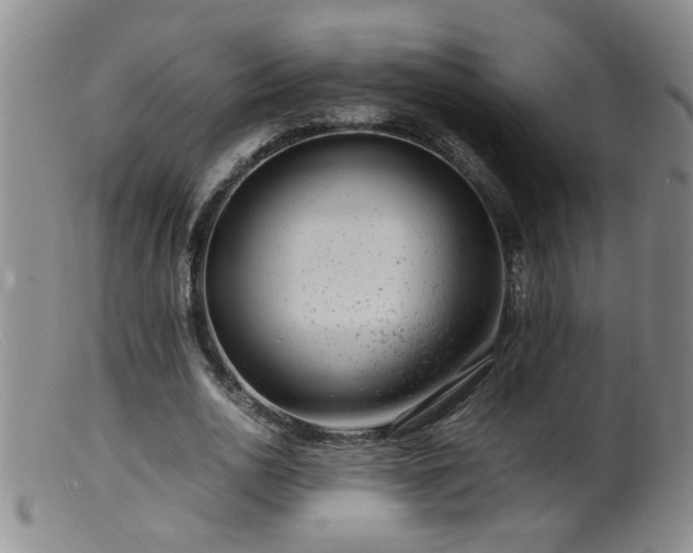 X0000099460726200805161046