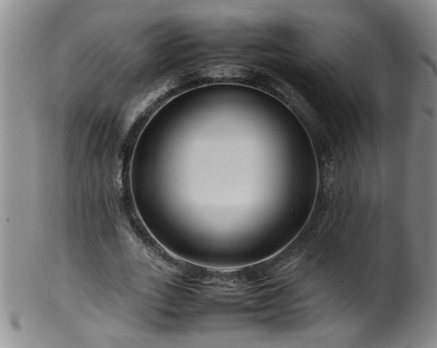 X0000099460727200805161046