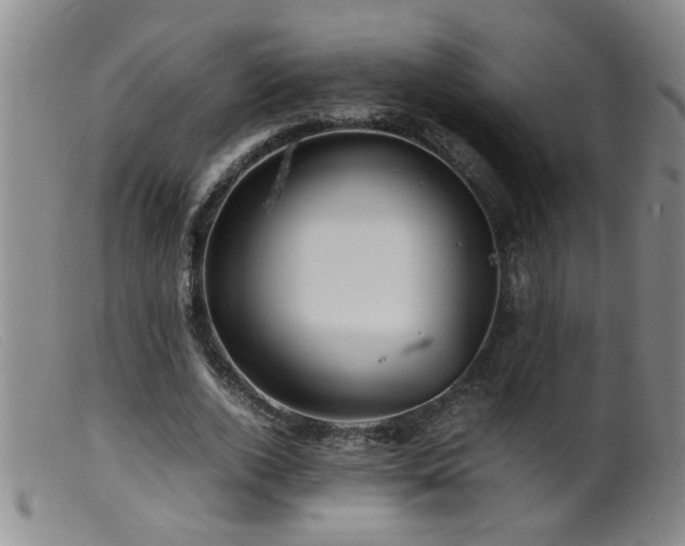 X0000099460728200805161046