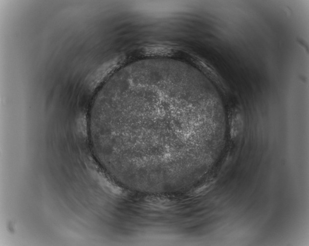 X0000099460729200805161046