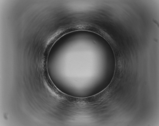 X0000099460730200805161046