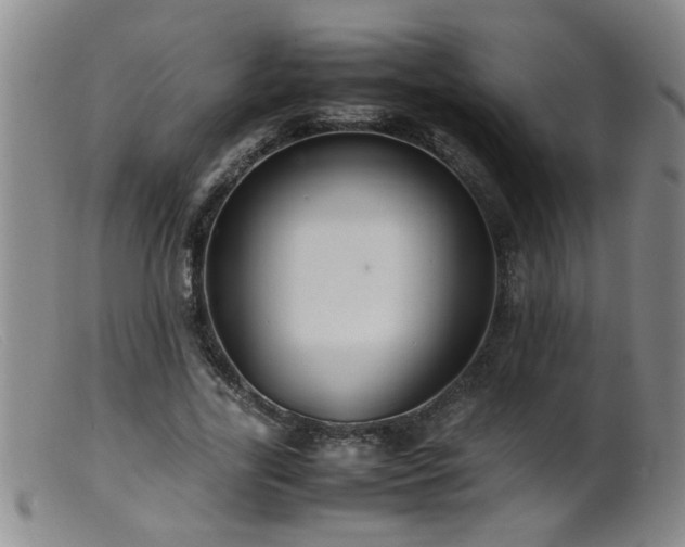 X0000099460731200805161046