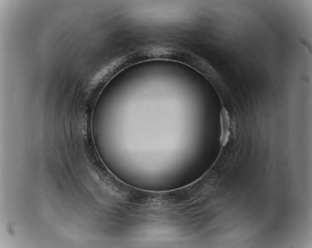 X0000099460732200805161046