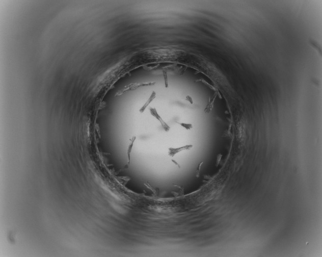 X0000099460733200805161046
