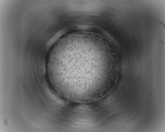X0000099460734200805161046
