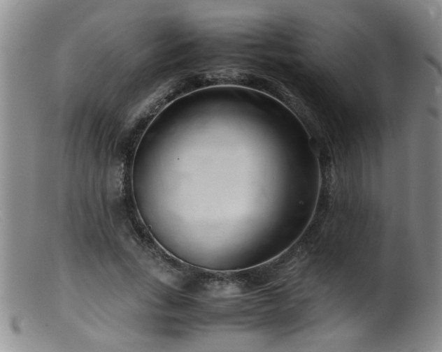 X0000099460735200805161046