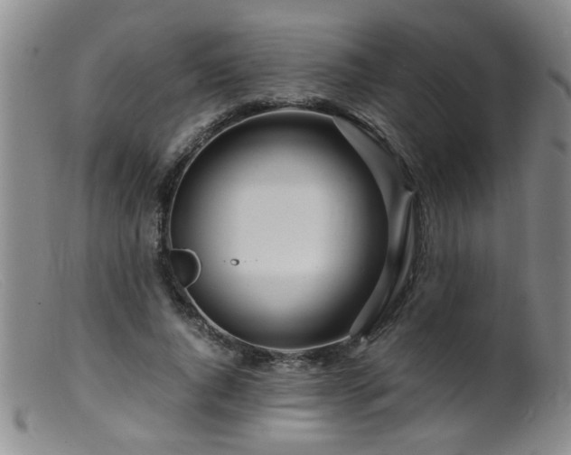 X0000099460736200805161046