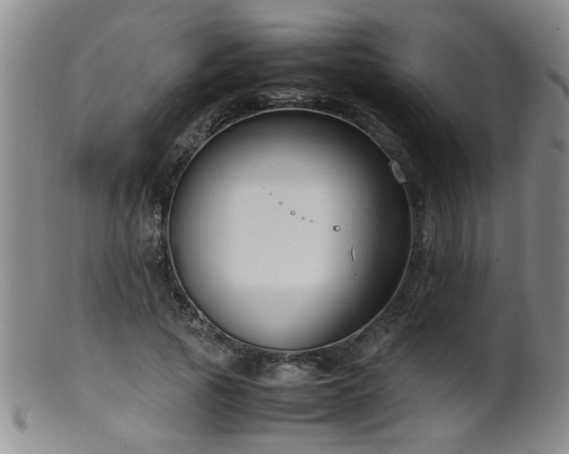 X0000099460737200805161046