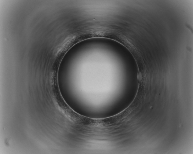 X0000099460738200805161046