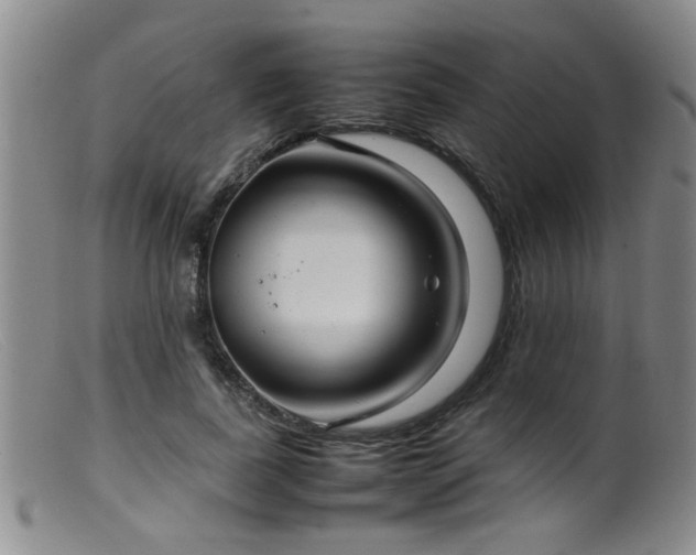 X0000099460739200805161046