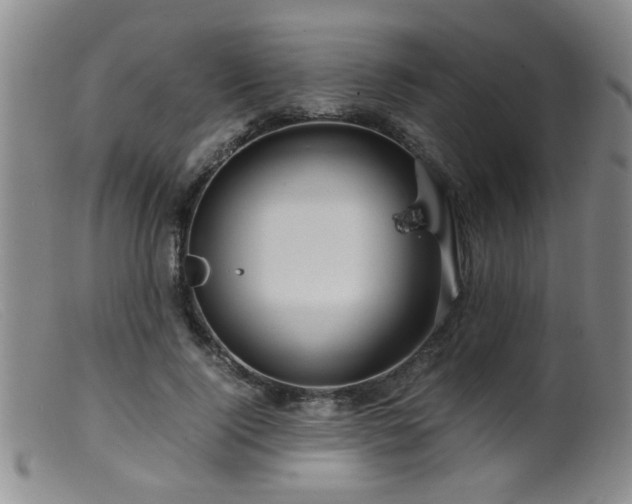 X0000099460740200805161046