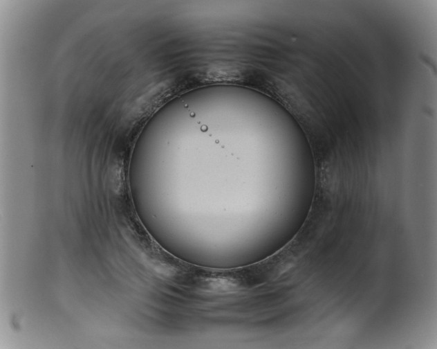 X0000099460741200805161046