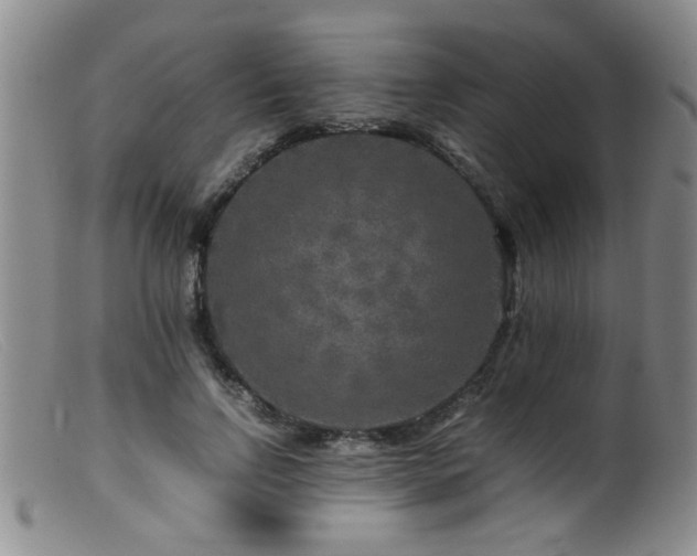 X0000099460742200805161046