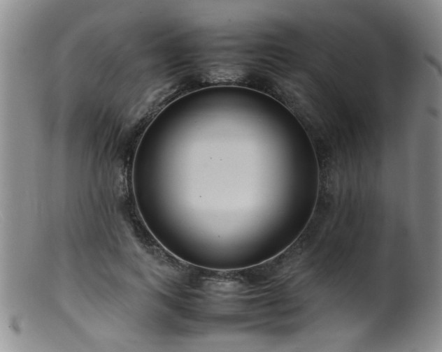 X0000099460743200805161046