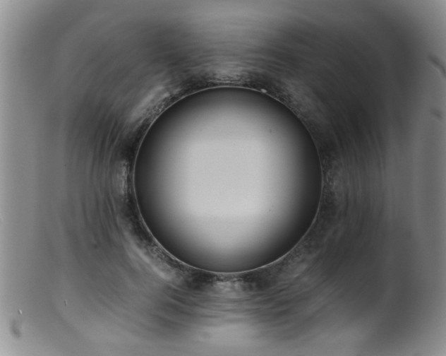 X0000099460744200805161046