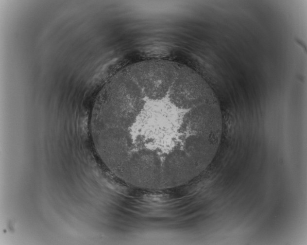 X0000099460745200805161046