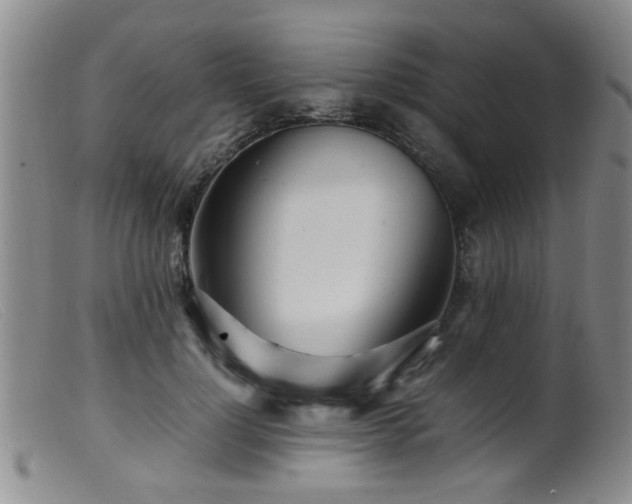 X0000099460748200805161047