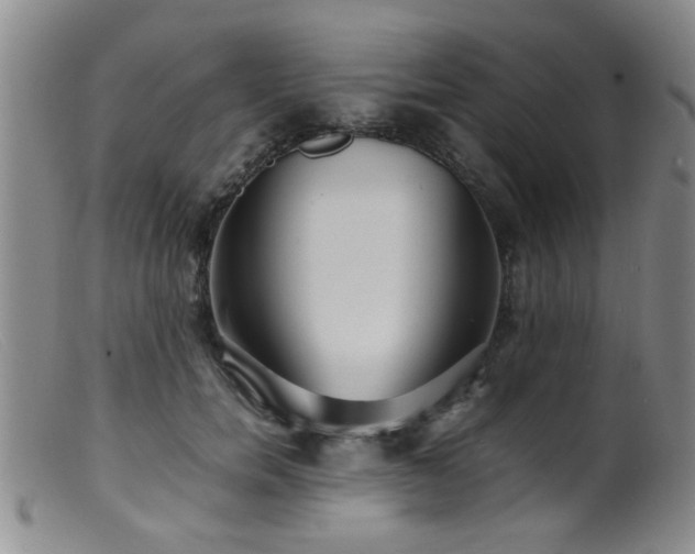 X0000099460750200805161047