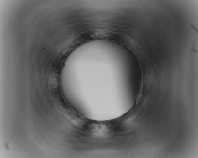 X0000099460751200805161047