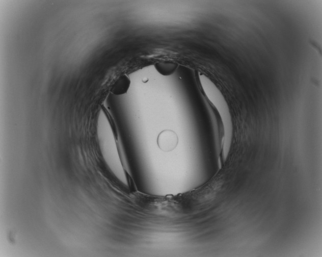 X0000099460752200805161047