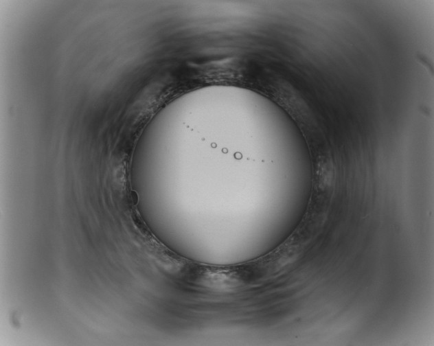 X0000099460753200805161047