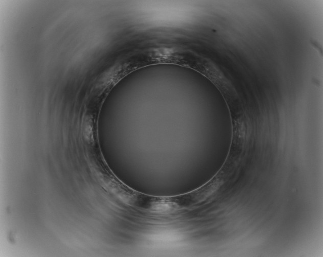 X0000099460754200805161047