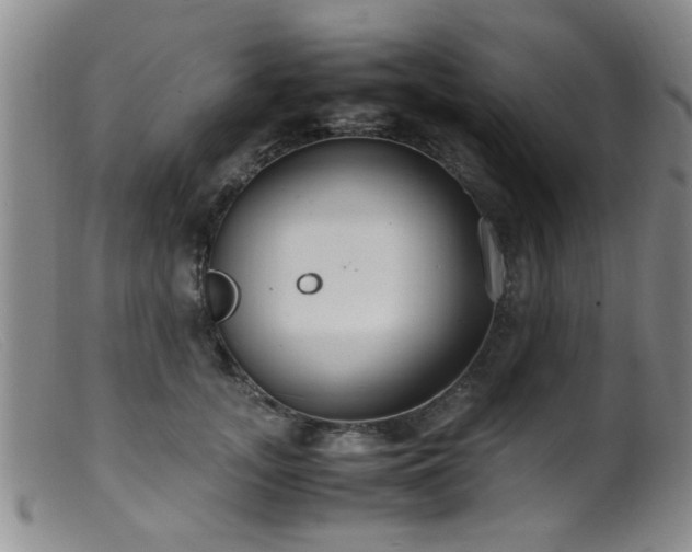 X0000099460755200805161047