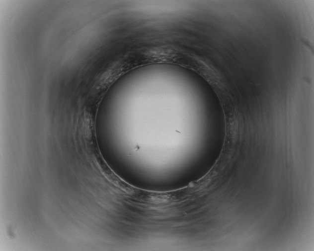 X0000099460757200805161047