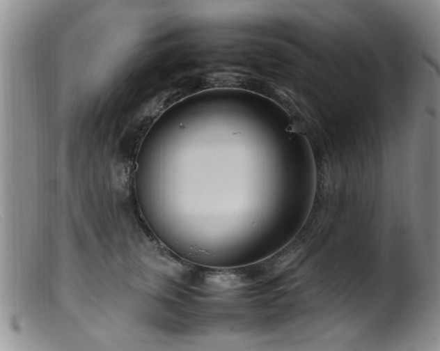 X0000099460759200805161047