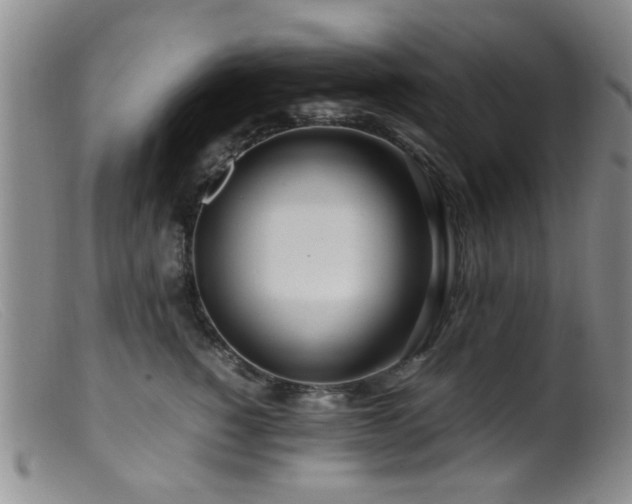 X0000099460760200805161047