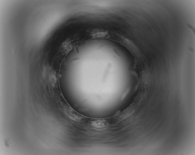 X0000099460761200805161047